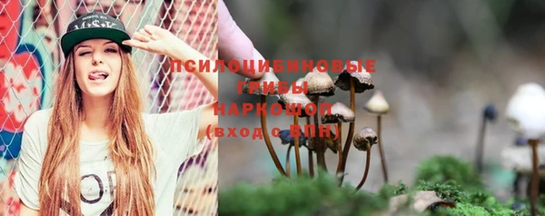 apvp Арсеньев