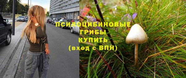 первитин Белокуриха