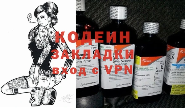 индика Тихвин